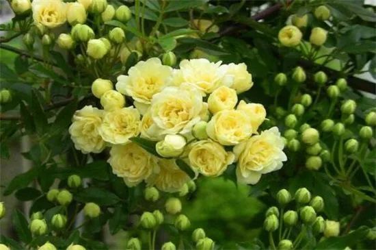 1676581230930002.jpg 微信圖片_20230108112100.jpg