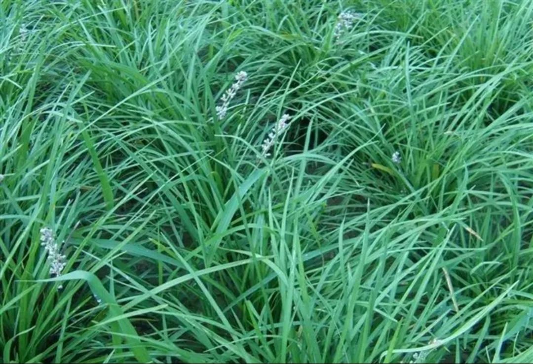 1676581900917198.jpg 微信圖片_20221023223702.jpg