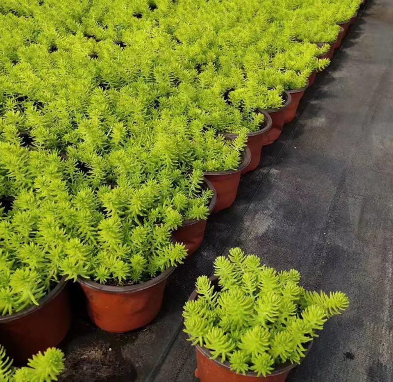 1676582549632111.jpg 1649820079445978.jpg