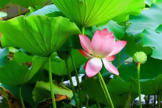 1676582809420845.jpg 微信圖片_20221023221623.jpg