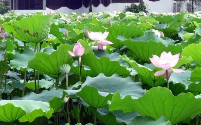 1676582826265093.jpg 微信圖片_20221023221647.jpg