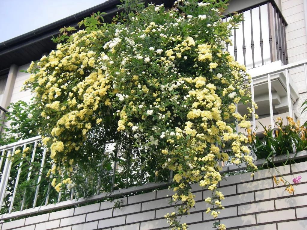 1676582911482758.jpg 微信圖片_20230110212127.jpg