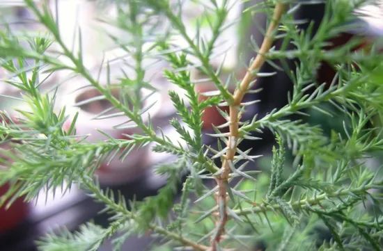 1676583279311192.jpg 微信圖片_20230107193616.jpg