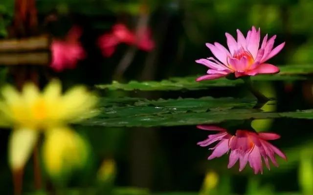 1676584222924545.jpg 微信圖片_20221023221637.jpg