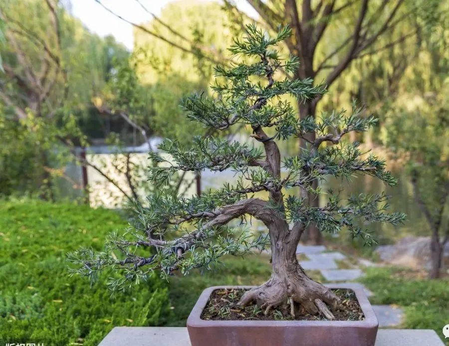 1676640227454098.jpg 微信圖片_20230107163739.jpg