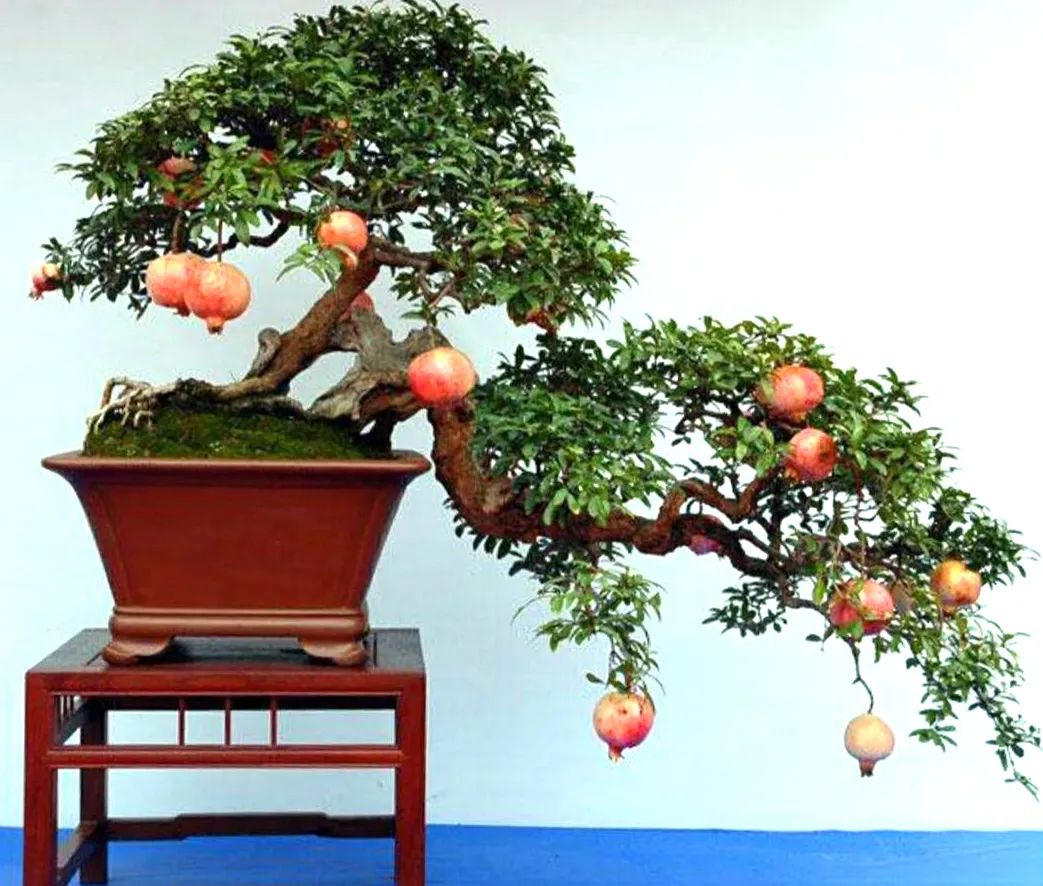 1676640251407136.jpg 微信圖片_20230107163820.jpg