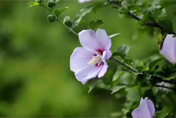 1676640320131019.jpg 微信圖片_20230108112404.jpg