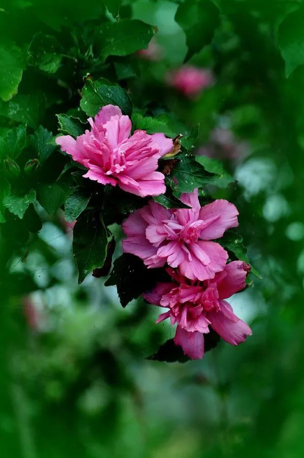 1676640326441756.jpg 微信圖片_20230108112418.jpg