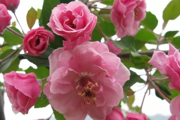 1676643481446823.jpg 微信圖片_20221128204912.jpg