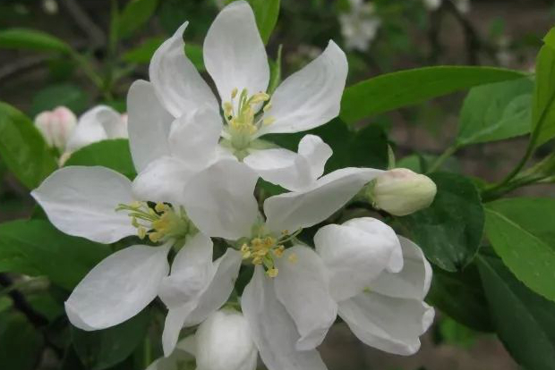 1676643489418819.jpg 微信圖片_20221128204921.jpg