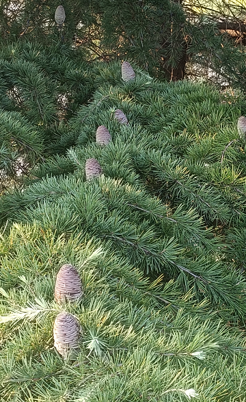 1676643558496018.png 微信圖片_20230111235418.png