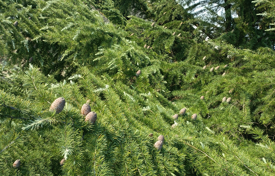 1676643567603640.png 微信圖片_20230111235424.png