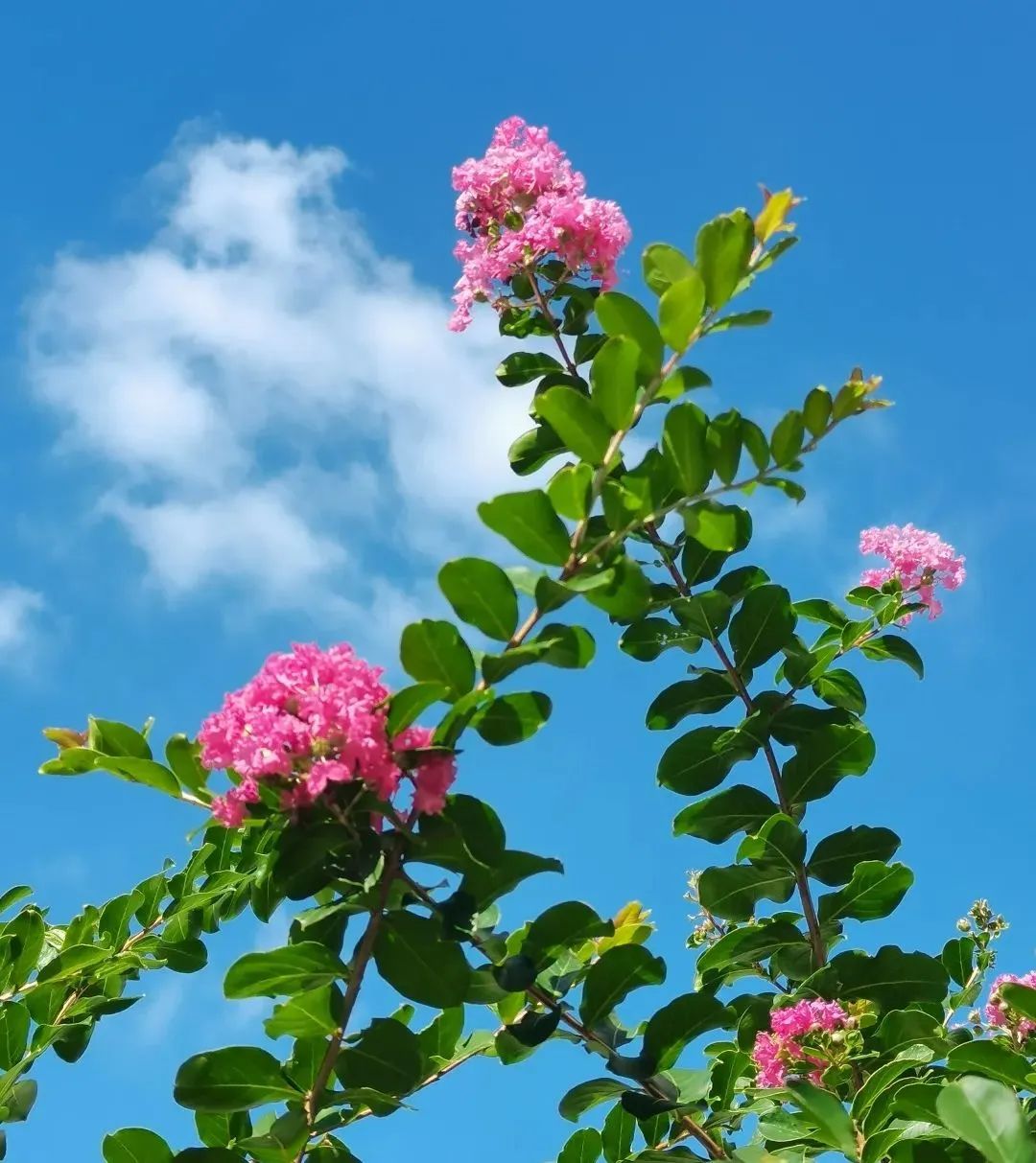 1676643752422205.jpg 微信圖片_20230217222114.jpg