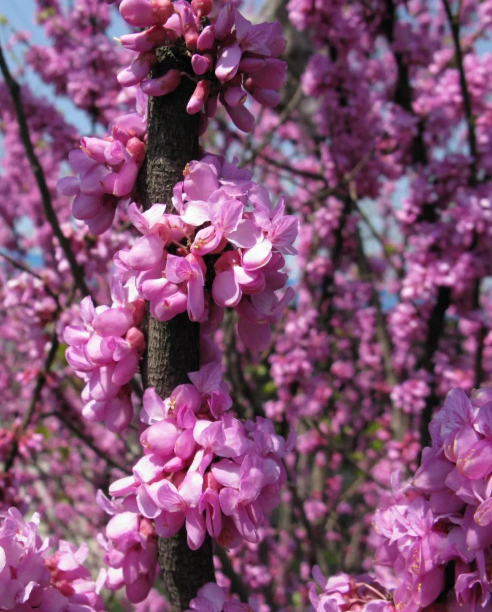 1676811021169164.jpg 微信圖片_20230201051117.jpg