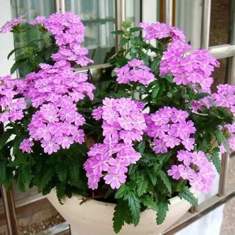 1676893433499389.jpg 微信圖片_20230220194237.jpg