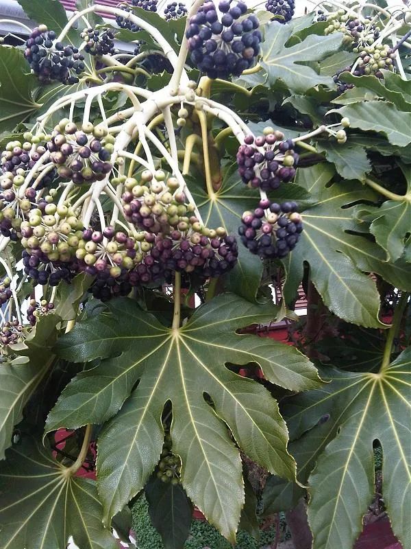 1676894008772111.jpg 微信圖片_20230220195219.jpg