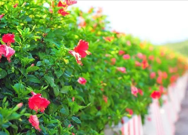 1676895080422348.jpg 微信圖片_20230220200951.jpg