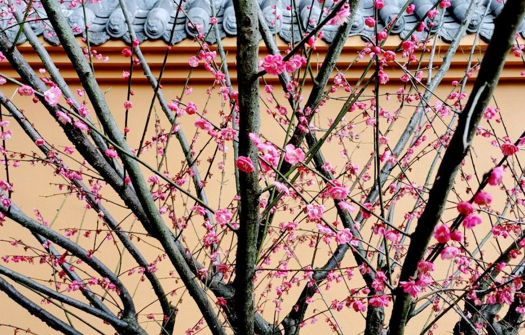 1676895280276300.jpg 微信圖片_20230108124125.jpg