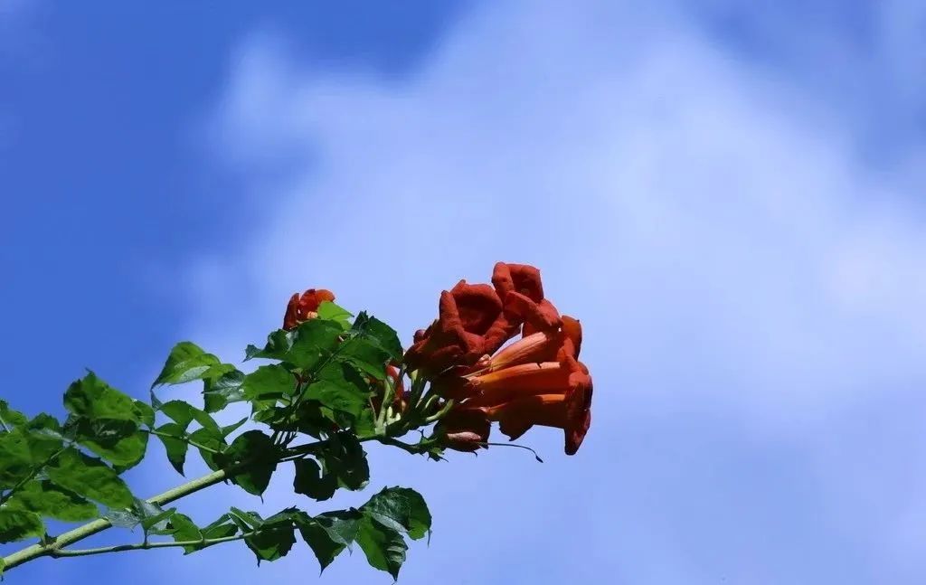 1676895940642063.jpg 微信圖片_20230116072229.jpg