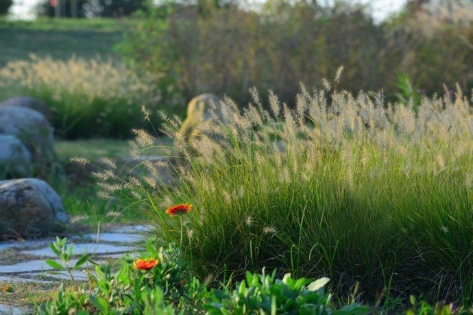 1676896093578202.jpg 微信圖片_20221028161557.jpg