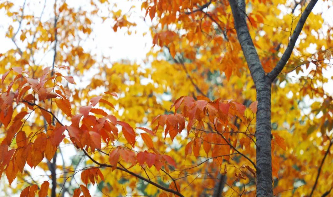 1676896985189098.jpg 微信圖片_20230115185231.jpg