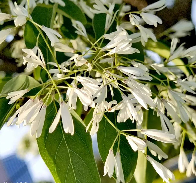 1676897097101686.jpg 微信圖片_20230220203322.jpg