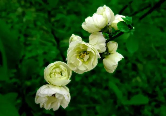 1676897451274783.jpg 微信圖片_20230220204934.jpg