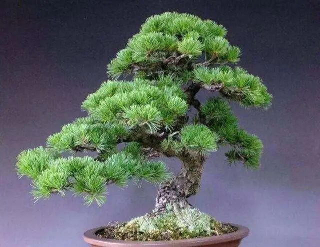 1676898079920419.jpg 微信圖片_20221029234126.jpg