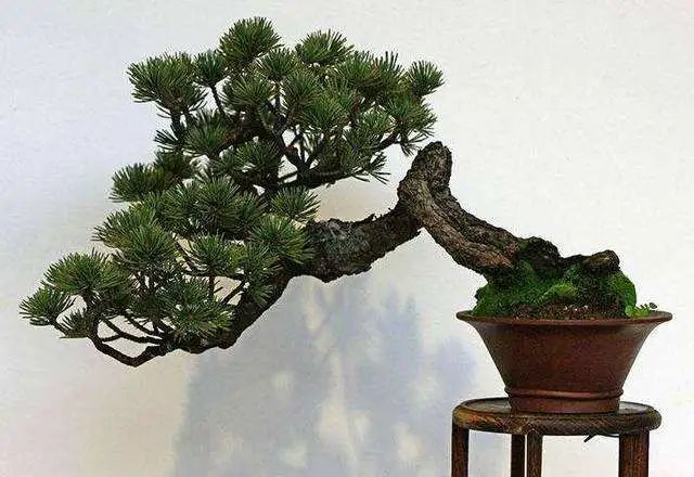 1676898087369171.jpg 微信圖片_20221029234135.jpg