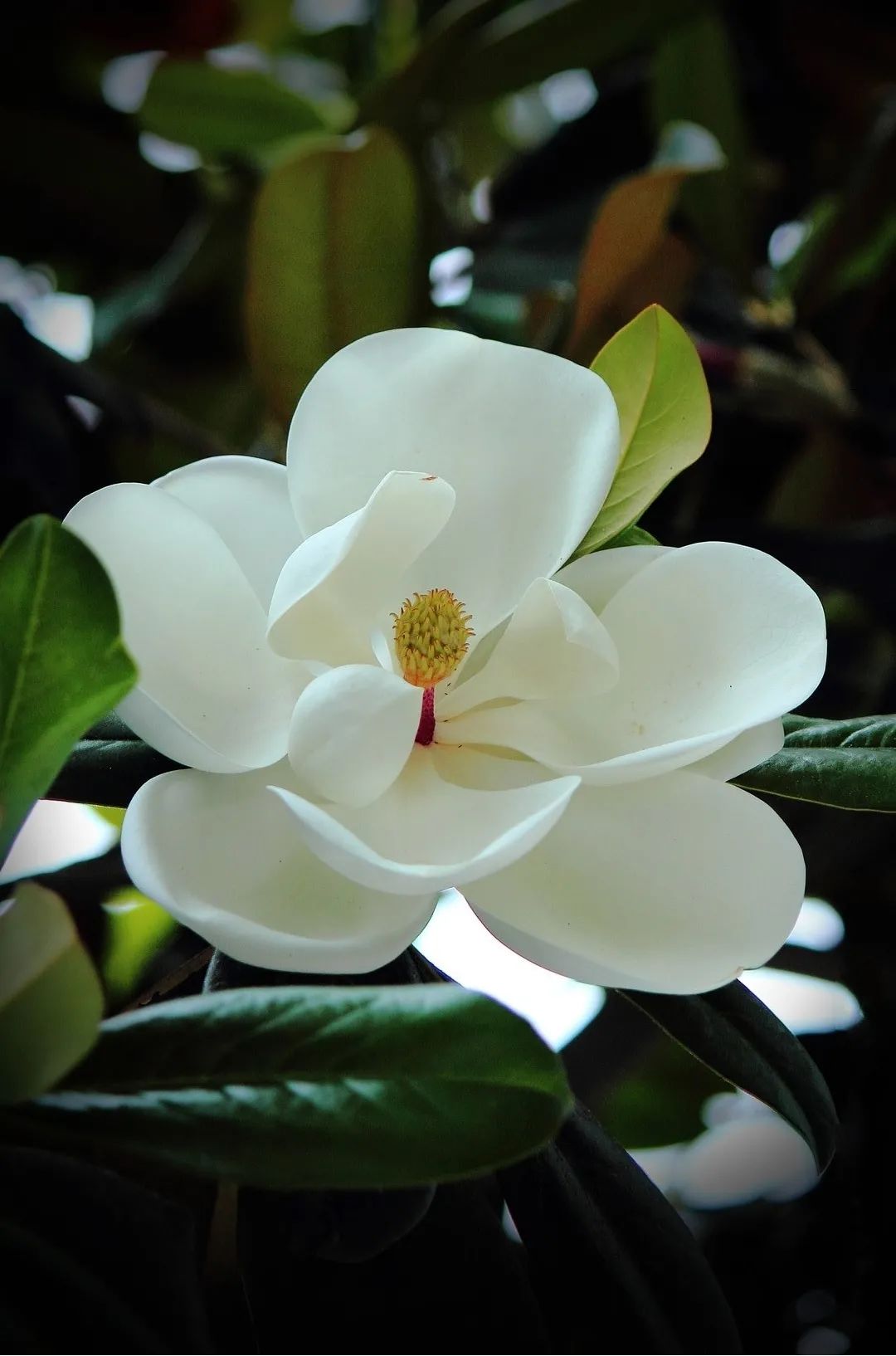 1676898158363890.jpg 微信圖片_20230112000109.jpg