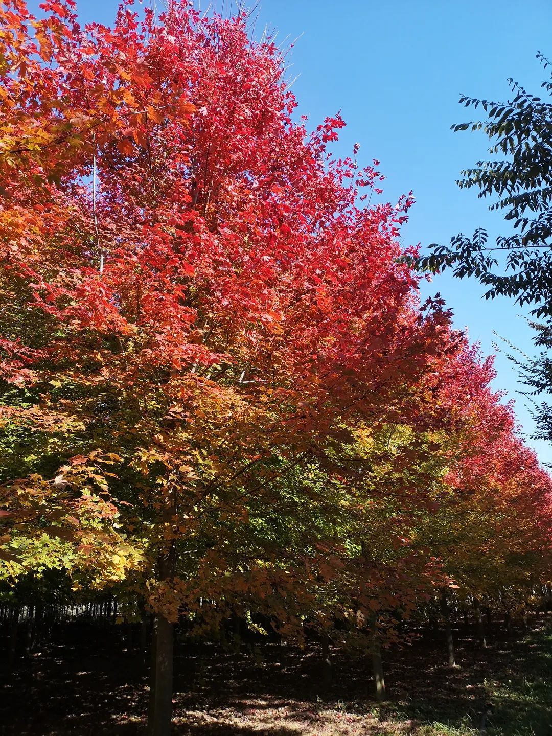 1676898221505355.jpg 微信圖片_20230212110203.jpg