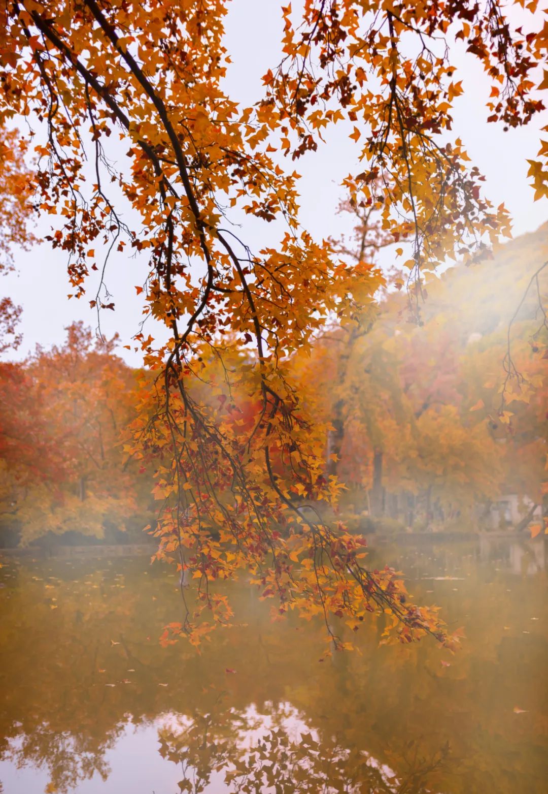 1676898247754593.jpg 微信圖片_20230107171426.jpg