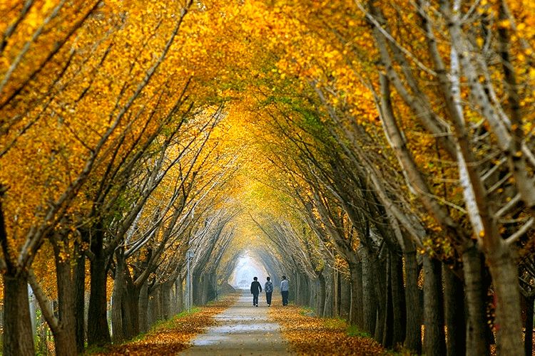 1676899577494869.jpg 微信圖片_20221030113038.jpg