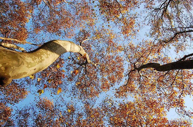 1676899583170039.jpg 微信圖片_20221030113101.jpg