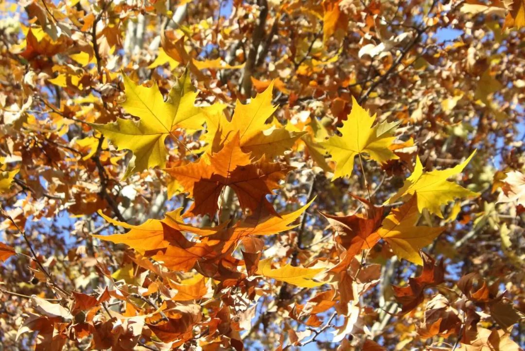 1676899600826915.jpg 微信圖片_20221030113117.jpg