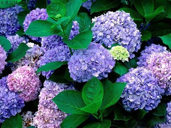 1712629739527402.jpg 1-1F50G40011F4.jpg