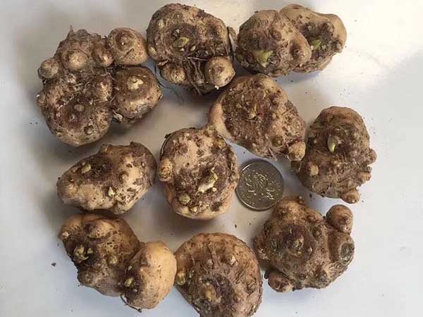 1712816153907100.jpg 1-1PZ1111609251.jpg