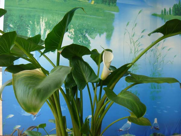 1712816166566531.jpg 1-1PZ1111616437.jpg