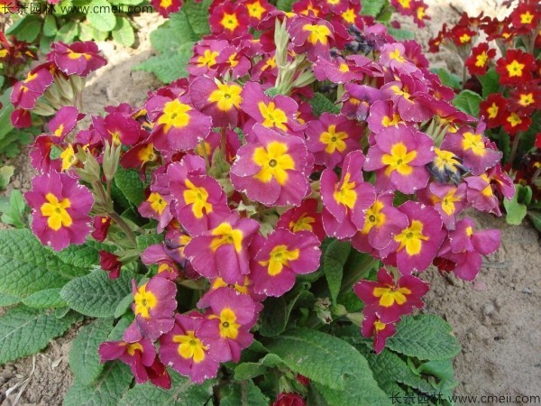 1712889791837885.jpg 1-1FF9102G0O2.jpg