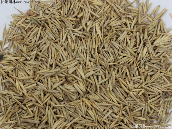 1712902204202141.jpg 1-1F62FTZ1Y7.jpg