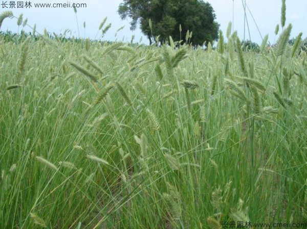 1712902226547184.jpg 1-1F62FTZ2444.jpg