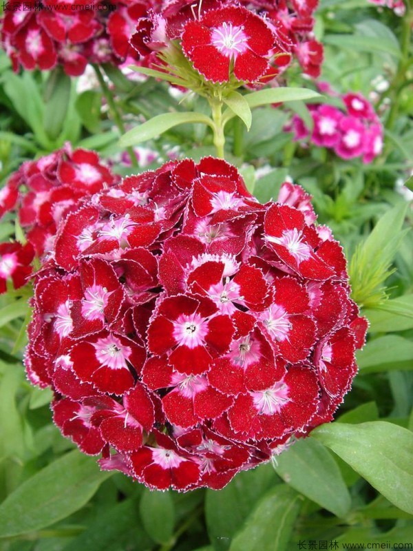 1713170847953085.jpg 1-1FF1205010451.jpg